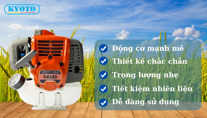 Top những đặc điểm nổi bật của máy cắt cỏ 543rs