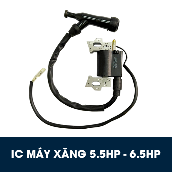 IC máy xăng 5.5hp, 6.5hp